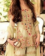 Light Green Chiffon Suit- Pakistani Wedding Dress