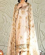 pakistani long dresses for weddings
