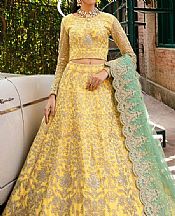 Akbar Aslam Pale Gold Net Suit- Pakistani Designer Chiffon Suit