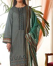 Vs Textile Grey/Green Cotton Suit- Pakistani Winter Dress