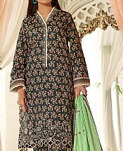 Vs Textile Lunar Green Cotton Suit- Pakistani Winter Clothing